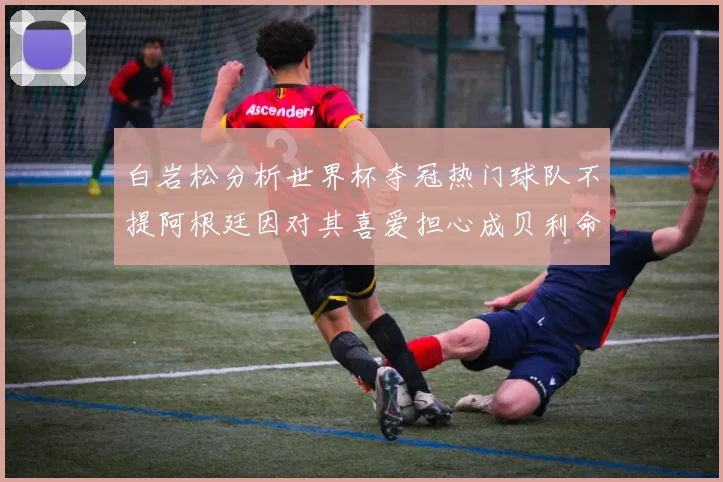 白岩松分析世界杯夺冠热门球队不提阿根廷因对其喜爱担心成贝利命运