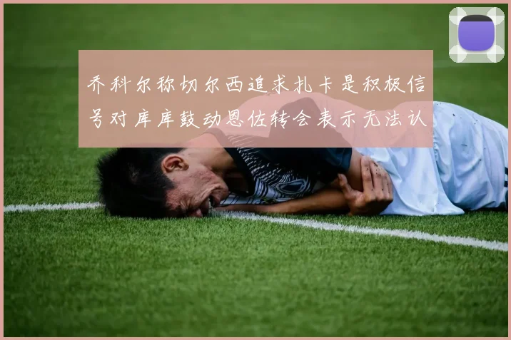 乔科尔称切尔西追求扎卡是积极信号对库库鼓动恩佐转会表示无法认同